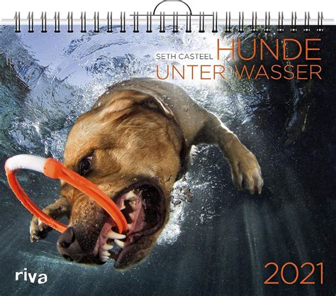 hunde unter wasser 2016 wandkalender Kindle Editon